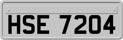 HSE7204