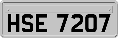 HSE7207