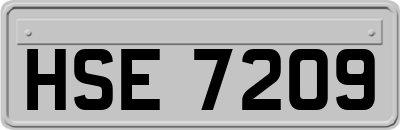 HSE7209