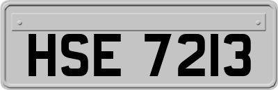 HSE7213