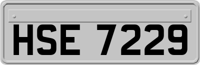 HSE7229
