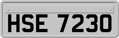 HSE7230