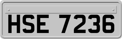 HSE7236