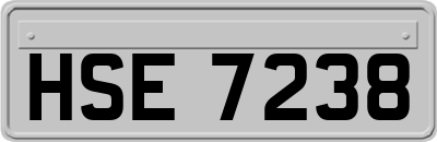 HSE7238