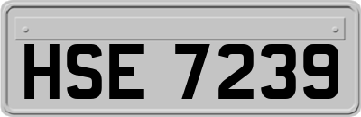 HSE7239