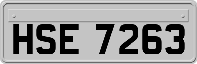 HSE7263