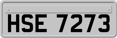 HSE7273