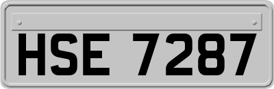 HSE7287