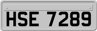 HSE7289