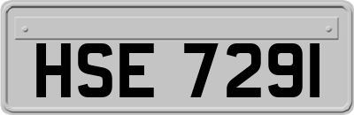 HSE7291