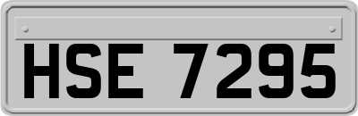 HSE7295