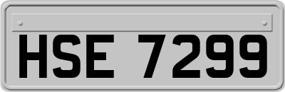 HSE7299