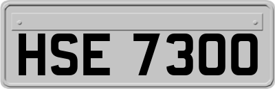 HSE7300