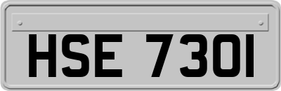 HSE7301