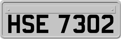 HSE7302