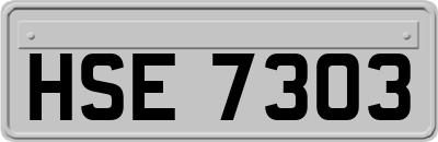 HSE7303
