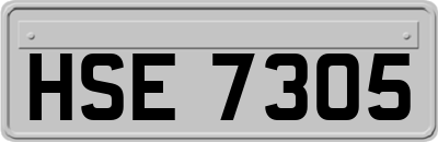 HSE7305