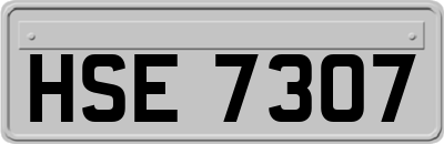 HSE7307