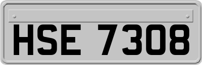 HSE7308