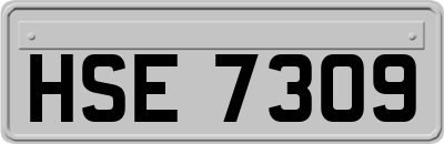 HSE7309