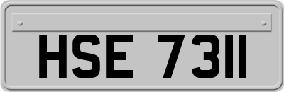 HSE7311