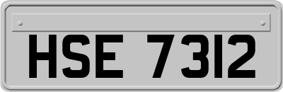 HSE7312