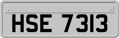 HSE7313