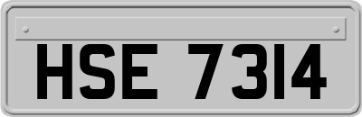 HSE7314