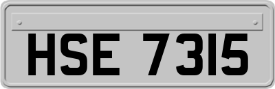 HSE7315