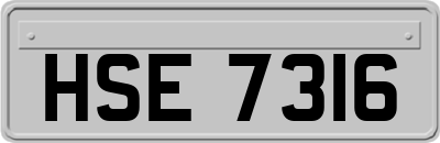 HSE7316