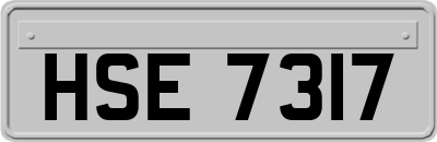 HSE7317