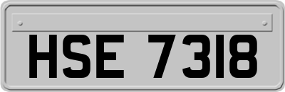 HSE7318