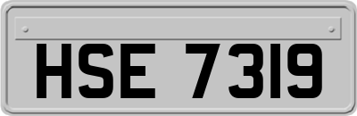 HSE7319