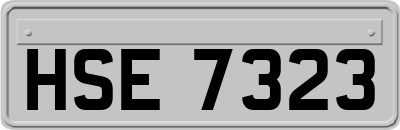 HSE7323