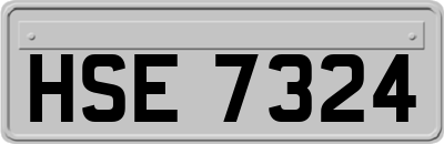 HSE7324