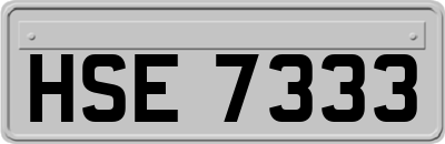 HSE7333
