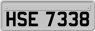 HSE7338