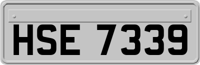 HSE7339