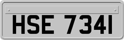 HSE7341