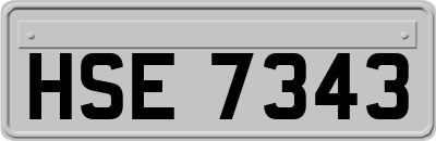 HSE7343
