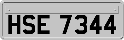 HSE7344