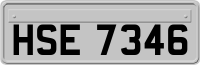 HSE7346
