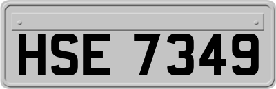 HSE7349