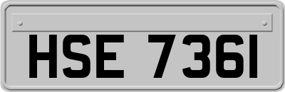 HSE7361