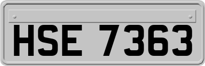 HSE7363