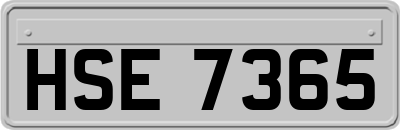 HSE7365