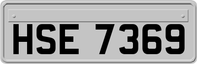 HSE7369