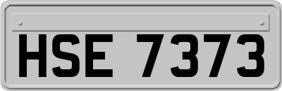 HSE7373