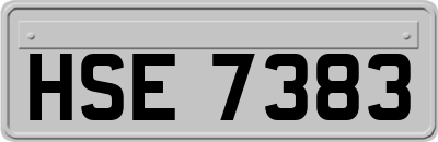 HSE7383