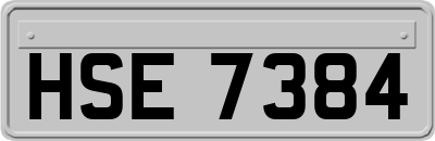 HSE7384